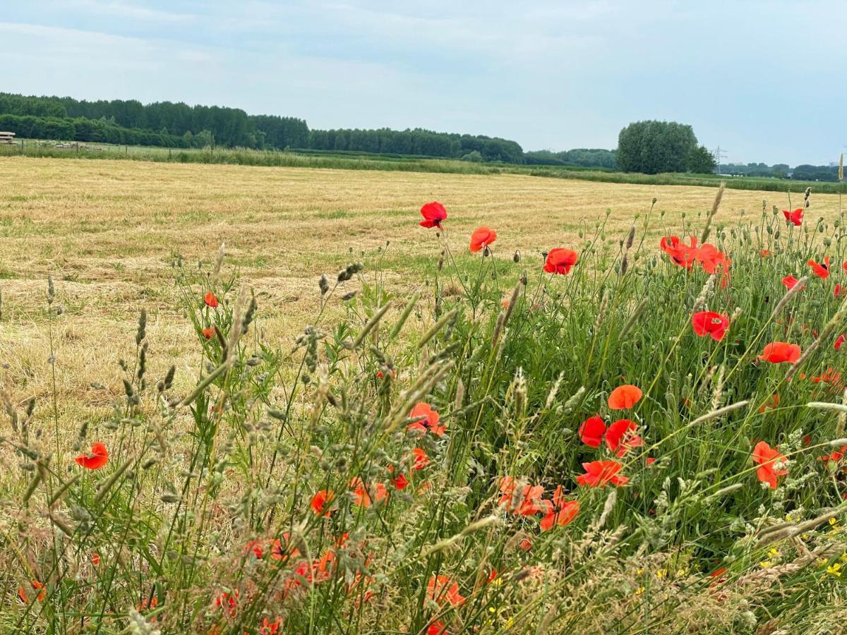 Camping De Vliert Bunnik Zewnętrze zdjęcie